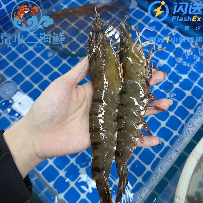 鲜活黑虎虾 多规格可选 保鲜不保活