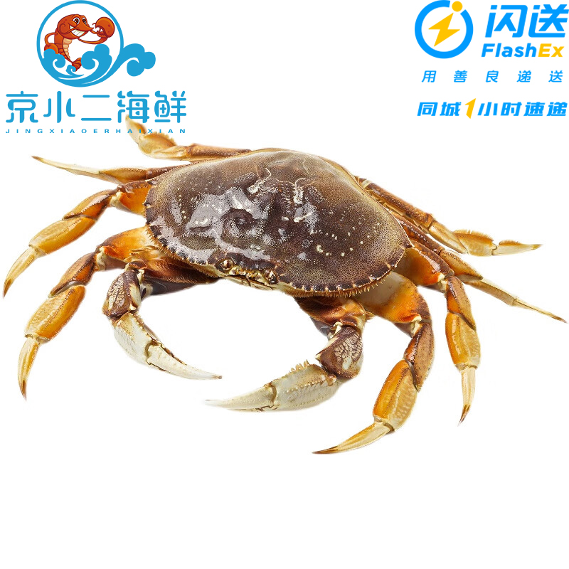 鲜活珍宝蟹新鲜水产（多规格可选）蟹同城配送海鲜