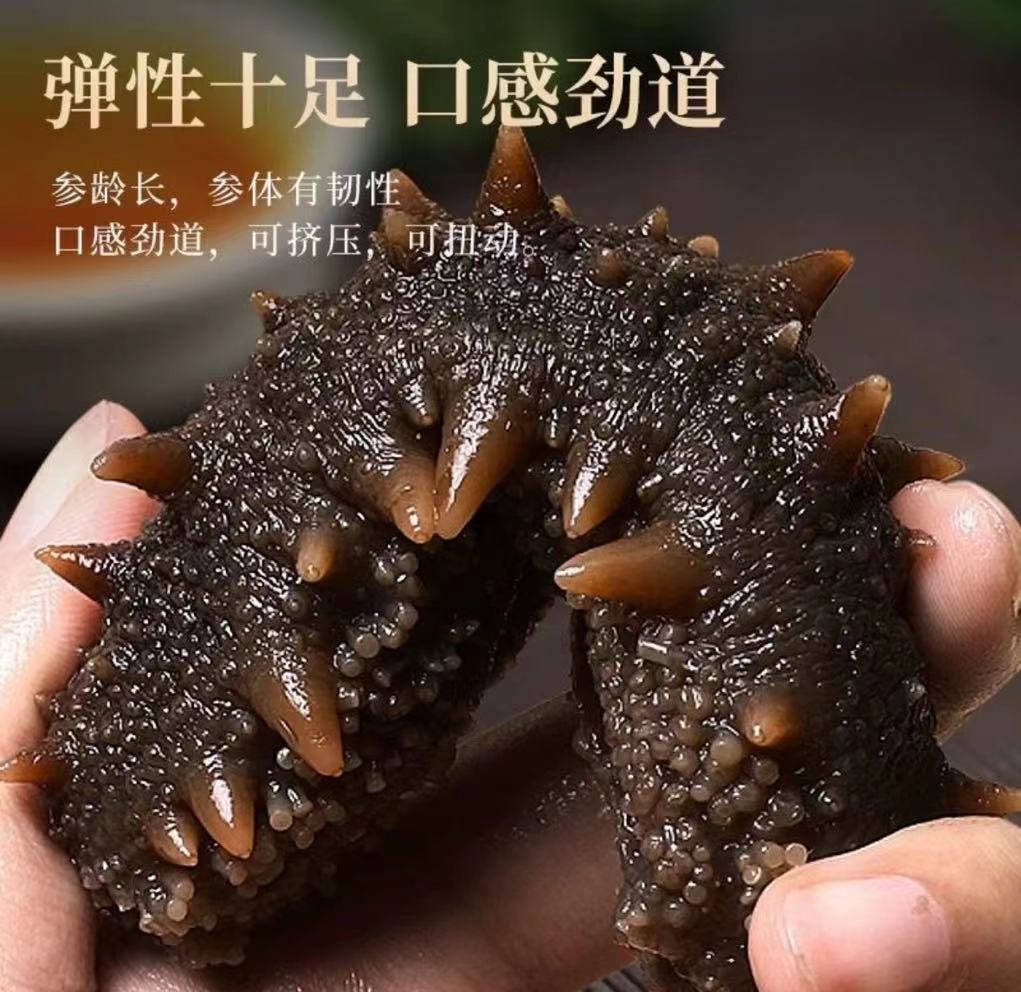 青岛即食海参到手两斤60-70头每支5公分以上顺丰发货加两只试吃