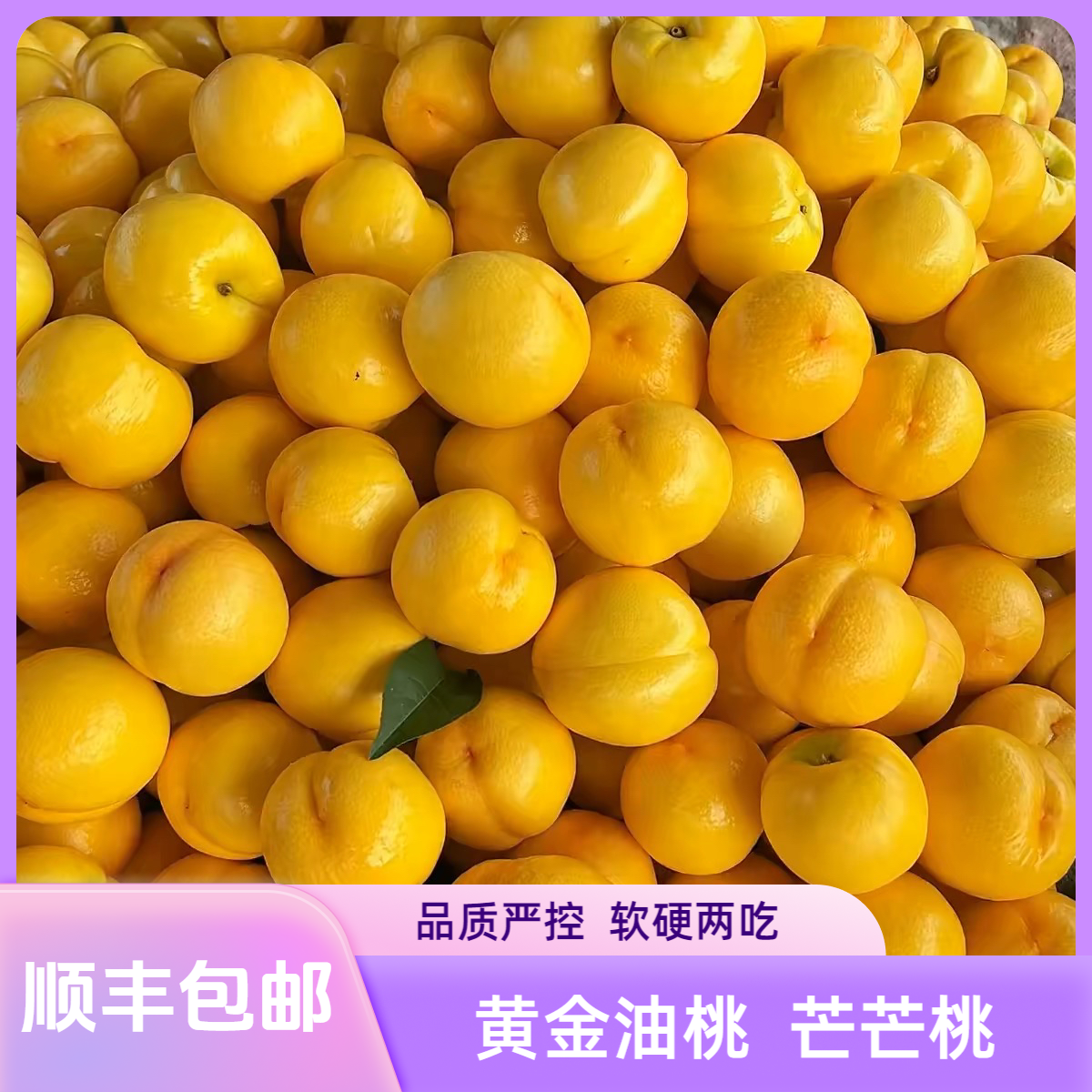 壹乡壹韵【顺丰包邮】山西芒芒桃新鲜采摘香甜多汁软脆两吃