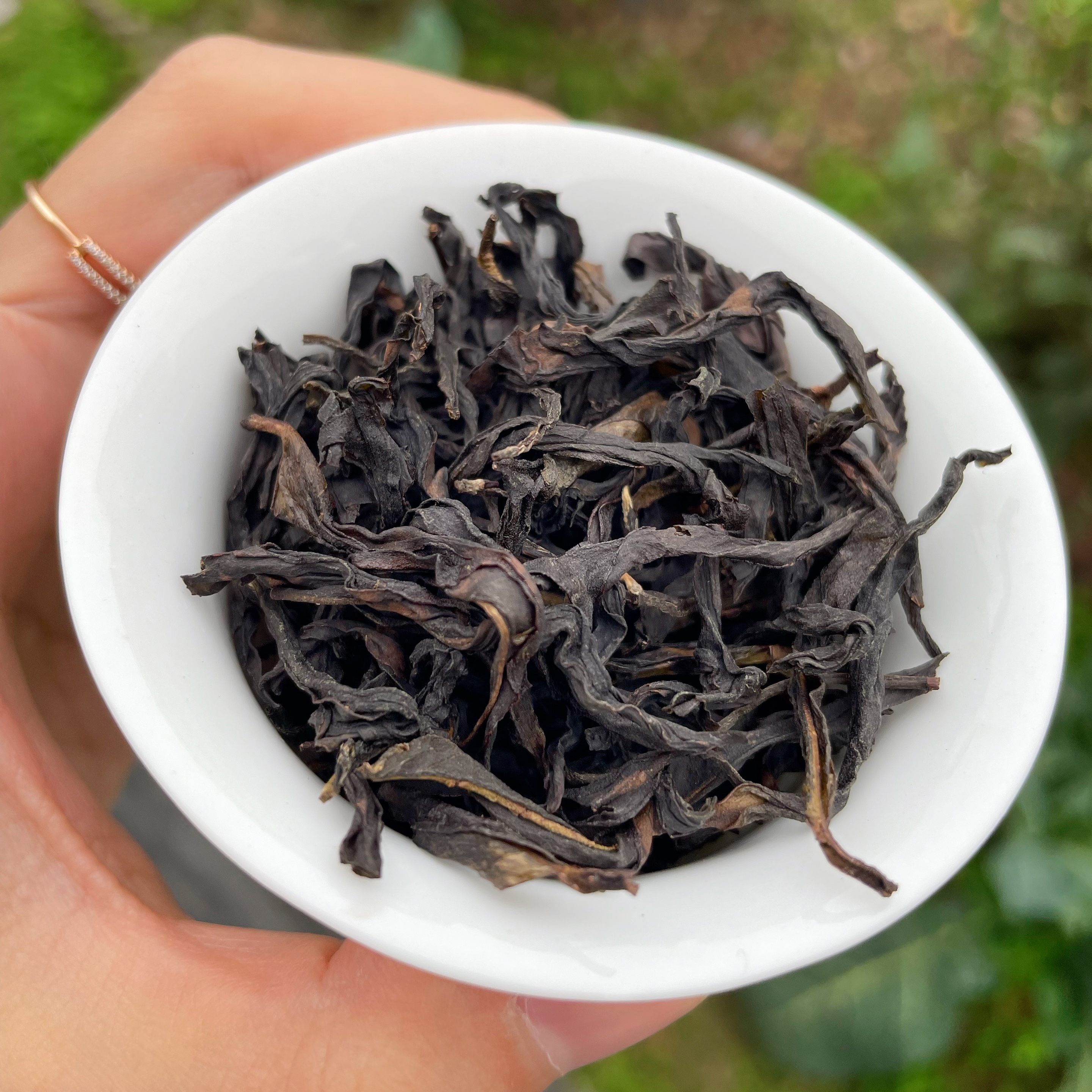 2025年凤凰单丛头春鸭屎香 凤凰产区