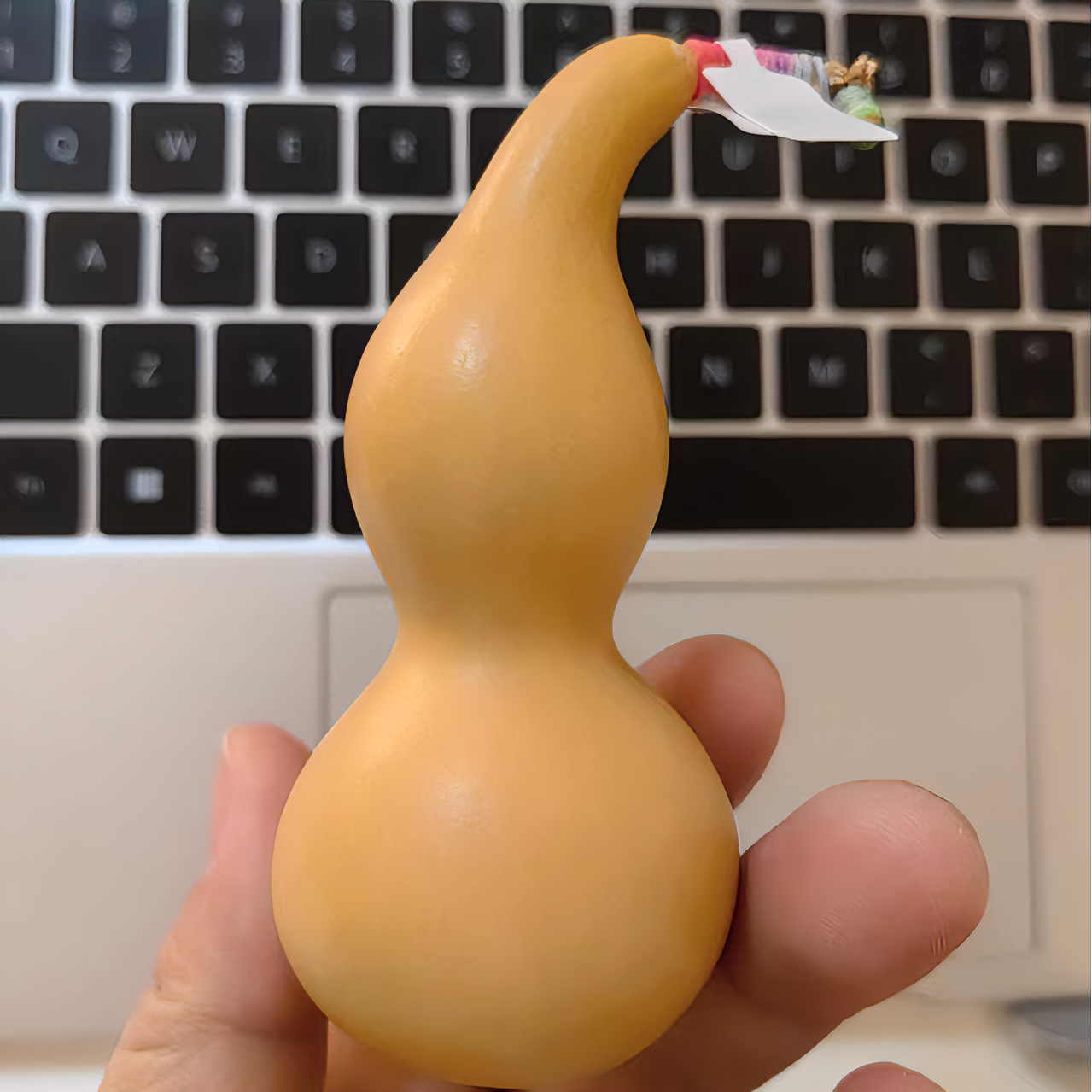 厚皮本捻葫芦 不不胡芦屋