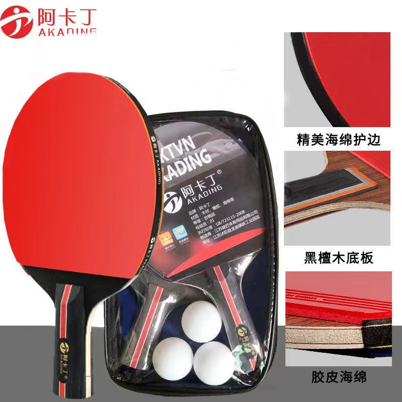 专业球拍乒乓球拍专业级乒乓球套装双面反胶2只球拍