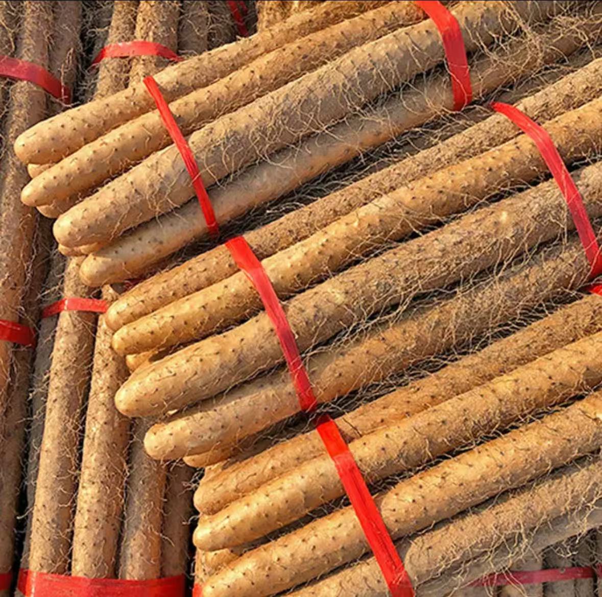 【大降价】铁棍山药五斤软糯香甜营养美味生鲜菜26-38厘米