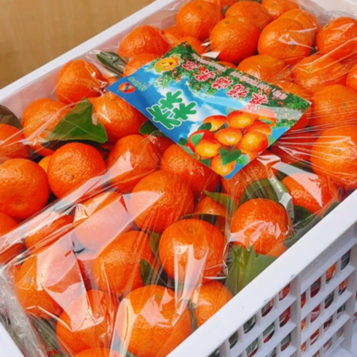 2斤 3斤 15斤 纯甜广西砂糖橘 纯甜 砂糖橘 云南省
