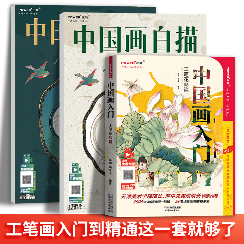 中国画入门工笔花鸟篇+描摹本工笔入门教程零基础绘画临摹