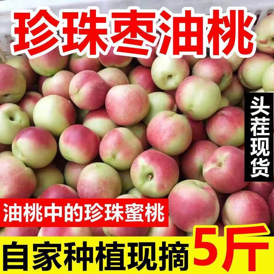 【珍珠枣油桃】脆甜珍珠枣蜜桃3号-离核露天头茬新鲜应季水果
