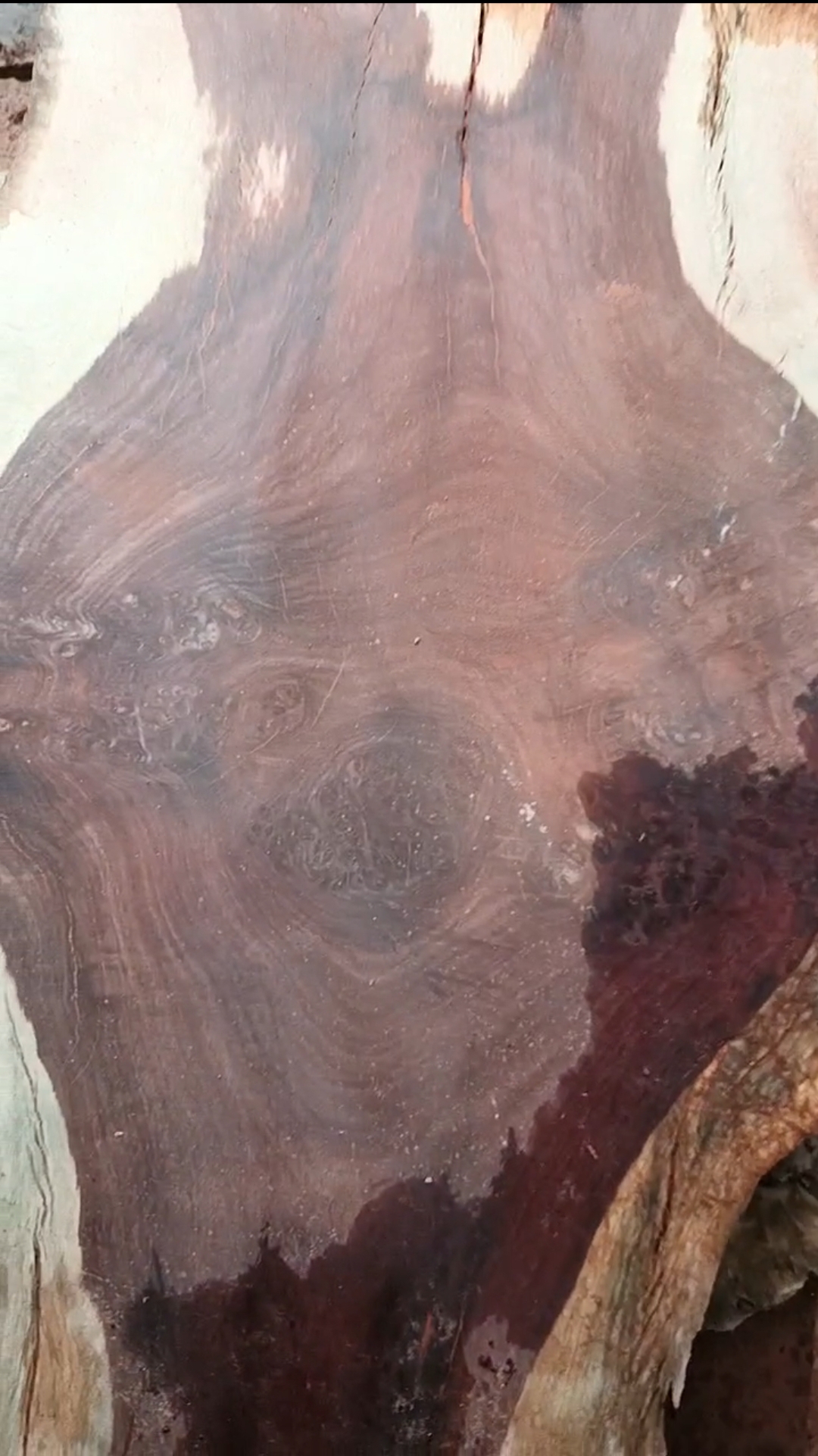 木料5到100以截图为准