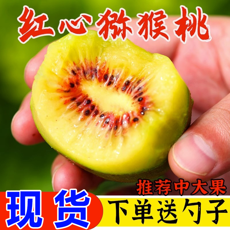 四川红心猕猴桃奇异果浦江弥猴桃新鲜孕妇水果70-130g礼盒送礼