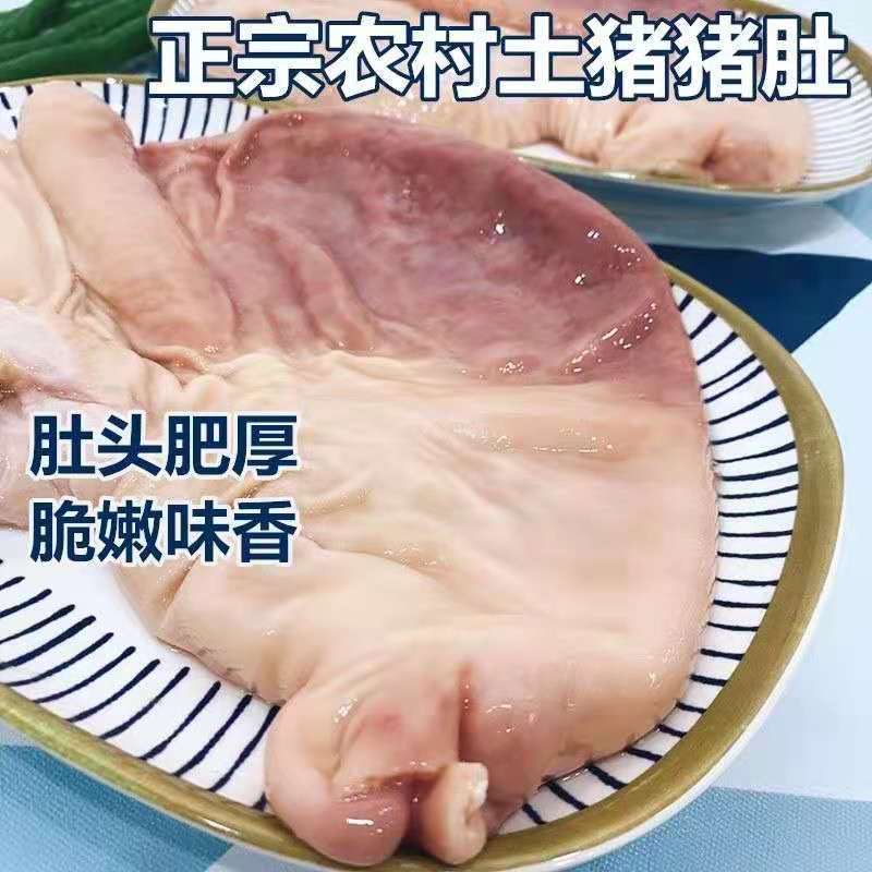 【顺丰包邮】农家散养现杀新鲜猪肚干净免洗整只新鲜冷冻猪肚猪胃