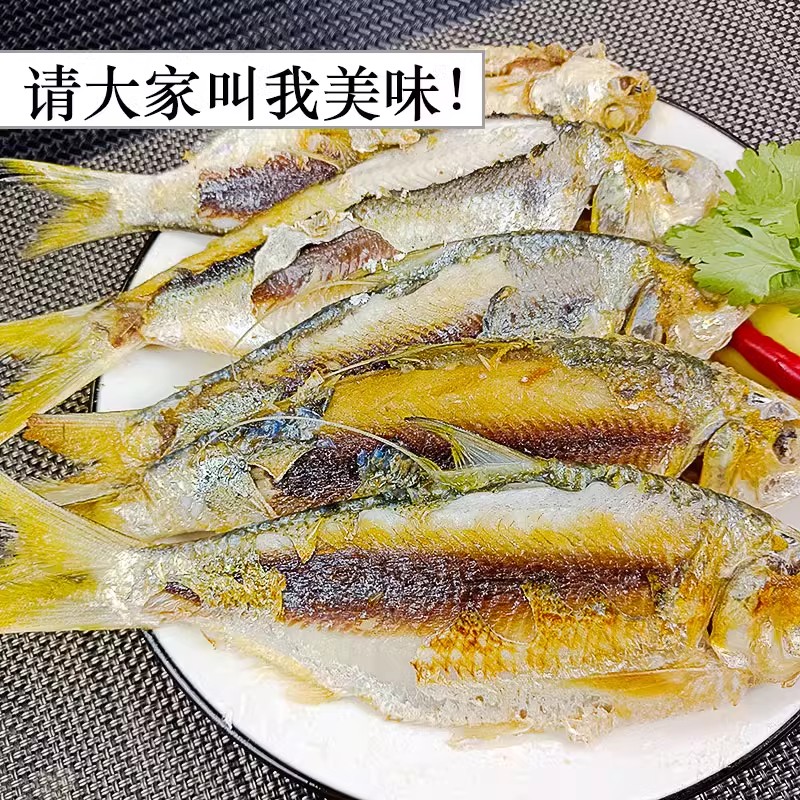 湛江硇洲岛野生黄鱼