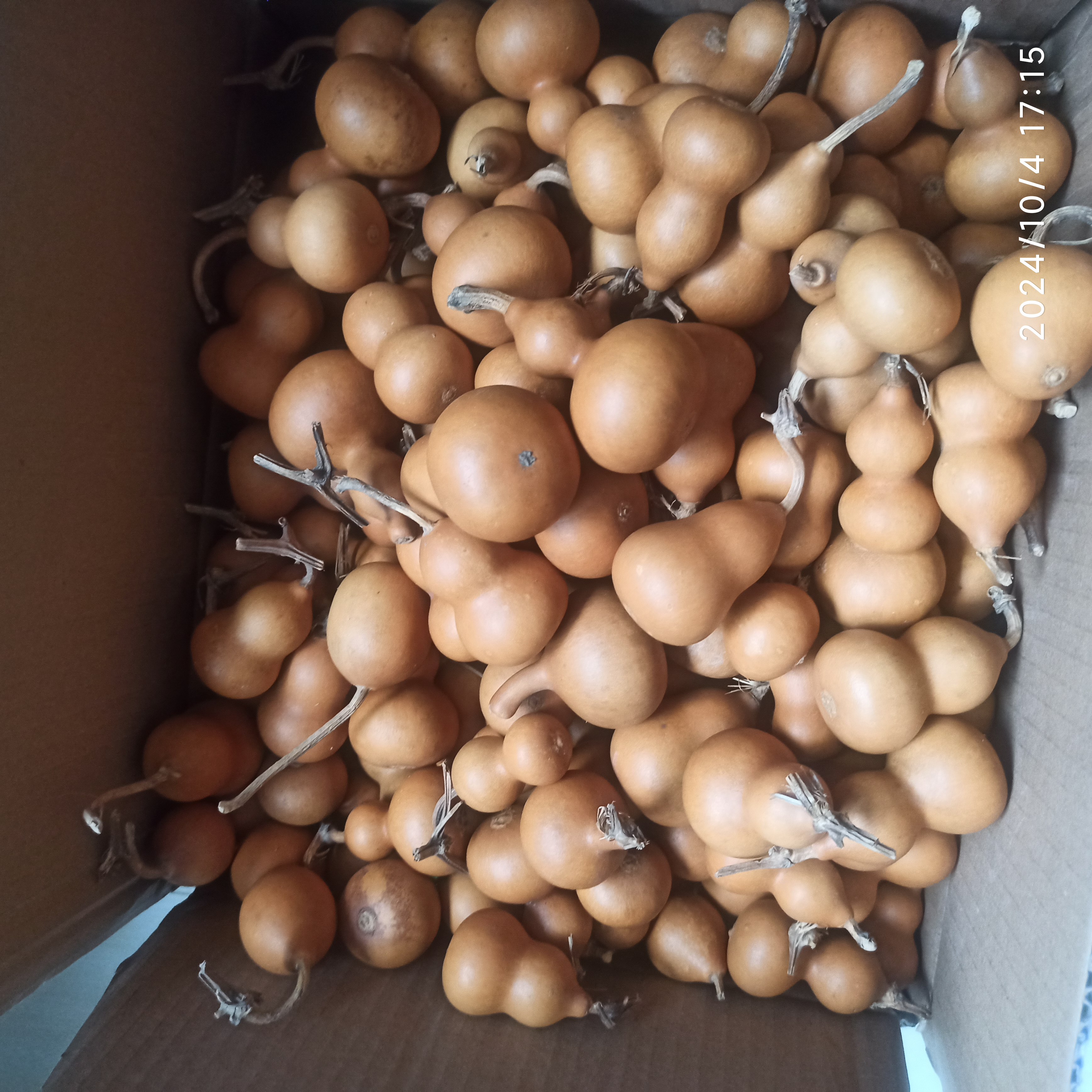 小美微瑕做工的可以入，20把完美主义者慎拍，葫芦魅力