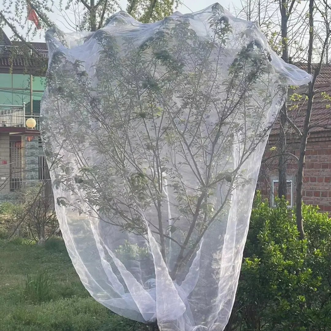 果树防虫网防鸟网树罩杨梅樱桃莲雾桃树防蚊虫果蝇针蜂网袋抗老化