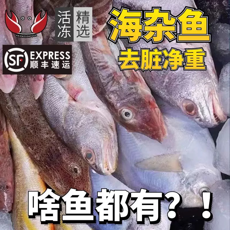 3号东海海鲜现称现拍链接