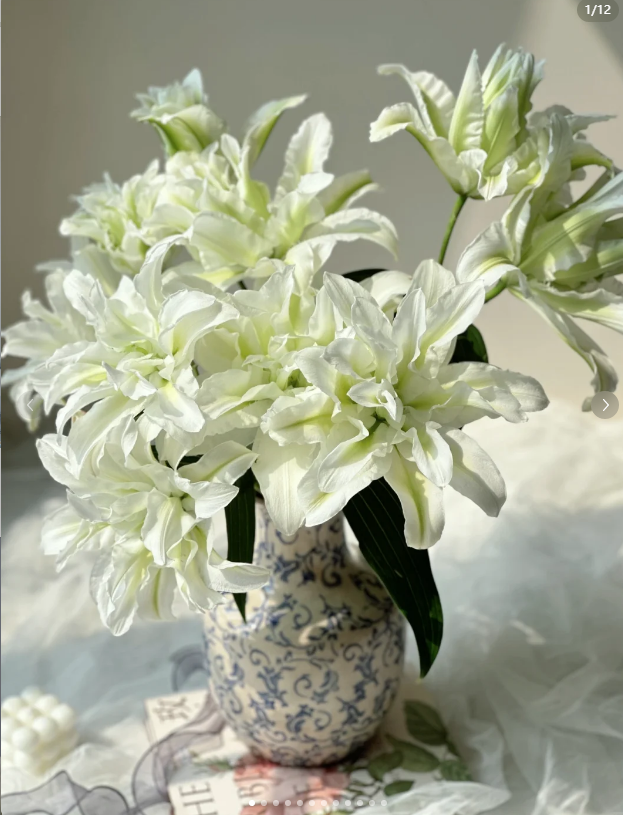 2头浪漫之星重瓣百合--(实物以直播间为准)