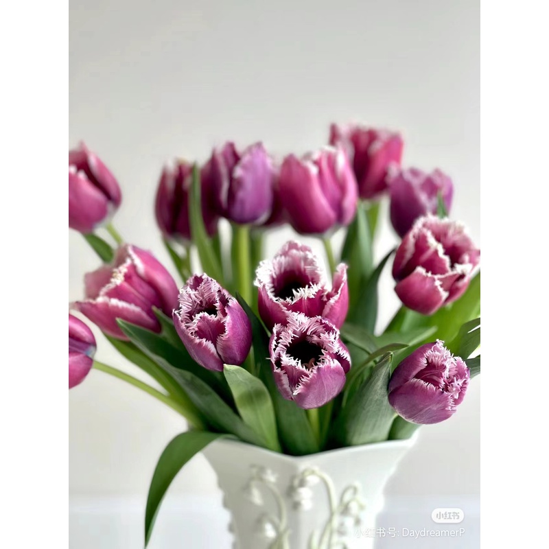 波尔多--郁金香--收到先醒花，实物以直播间展示为准