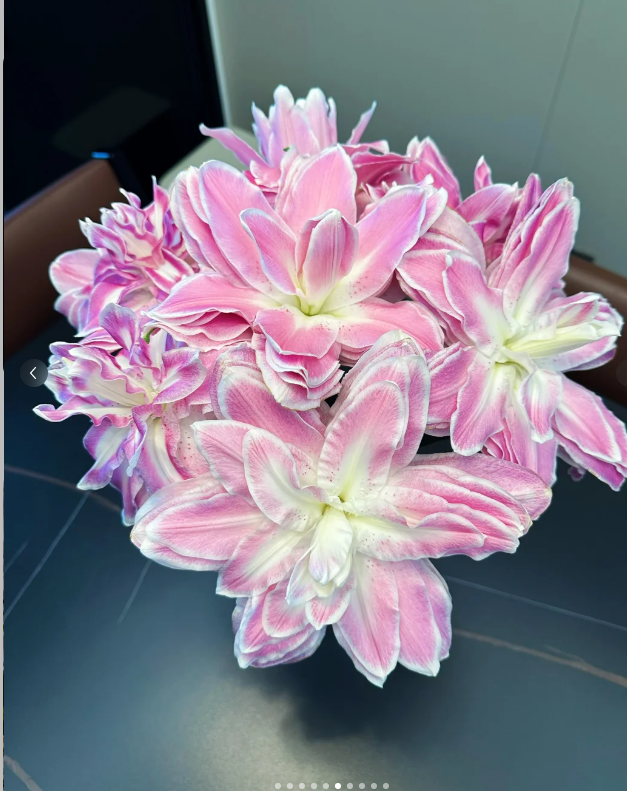 (定制精选）多头嫣然重瓣百合--（实物直播间为准）