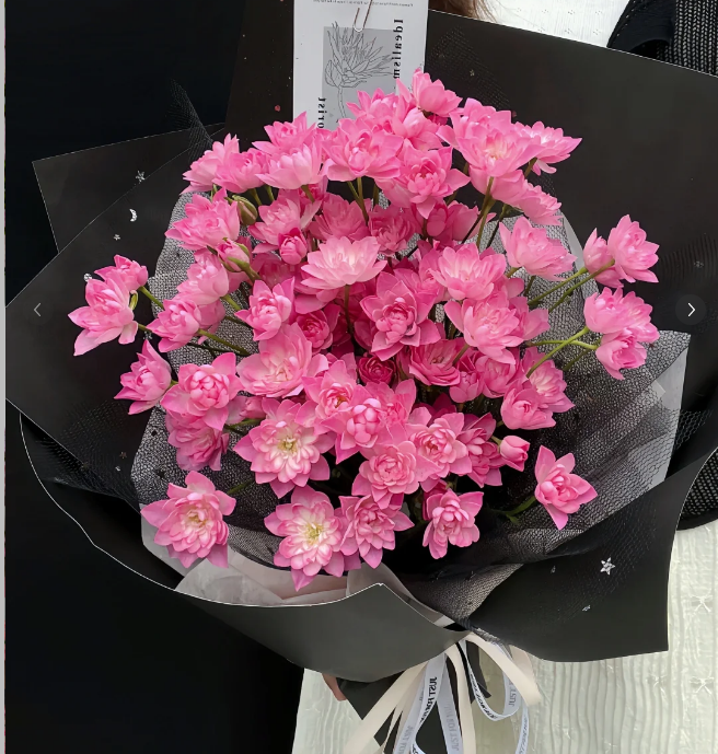 天河繁星--多头玫瑰（5支）--收到带包装深水醒花