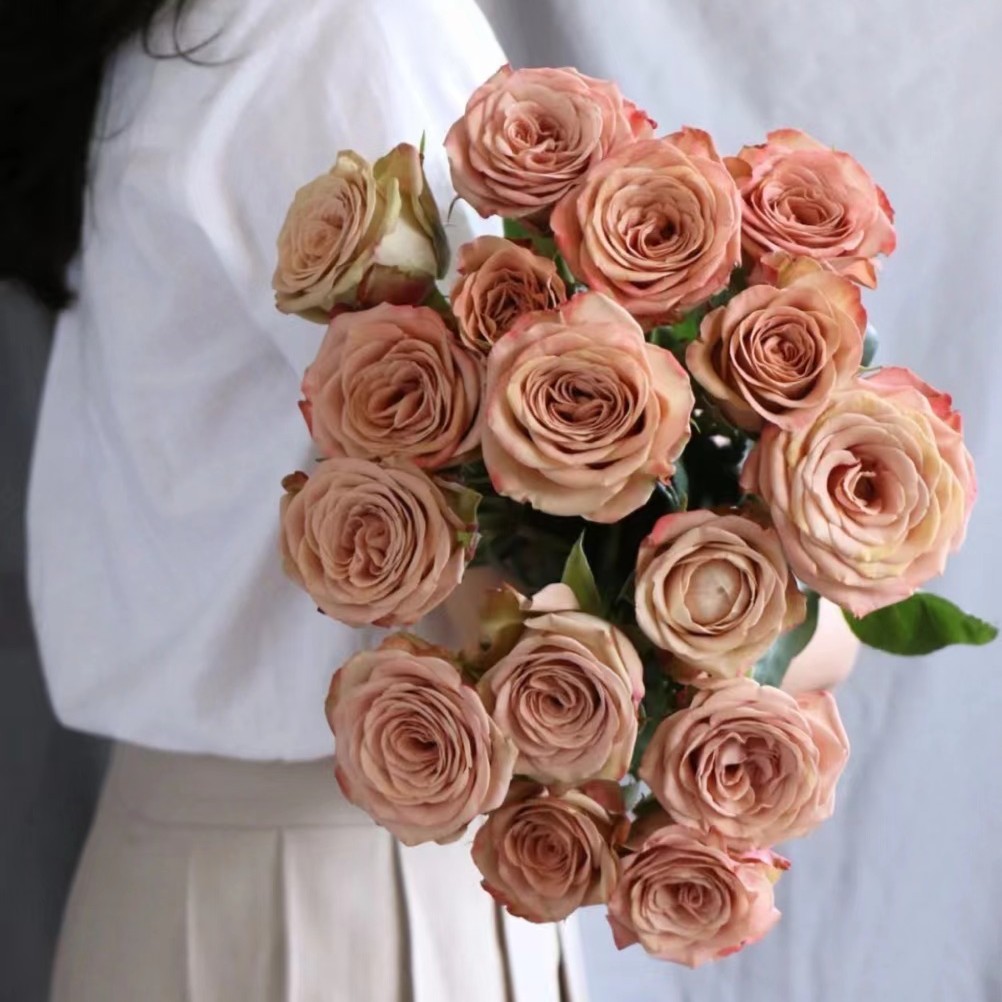  卡布奇诺--单头玫瑰--复古温柔