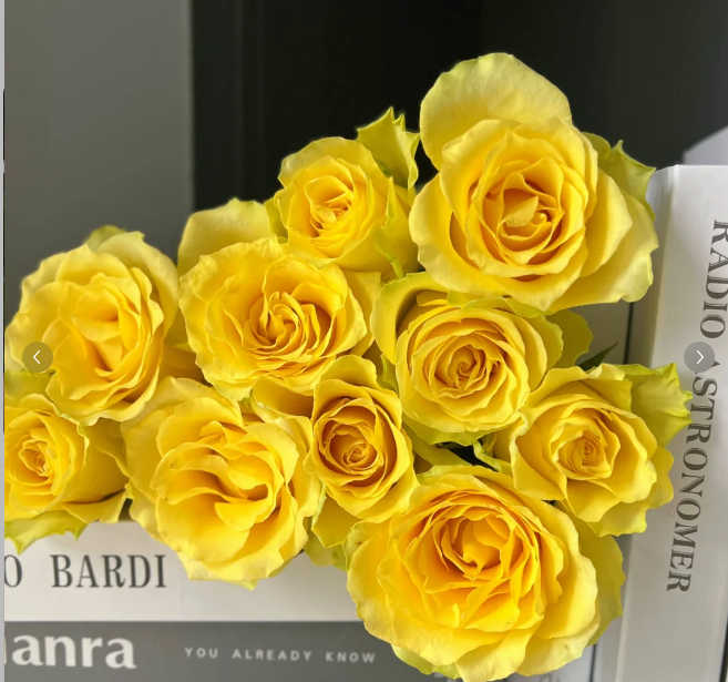 浪漫沙滩--单头玫瑰--刺少有香味