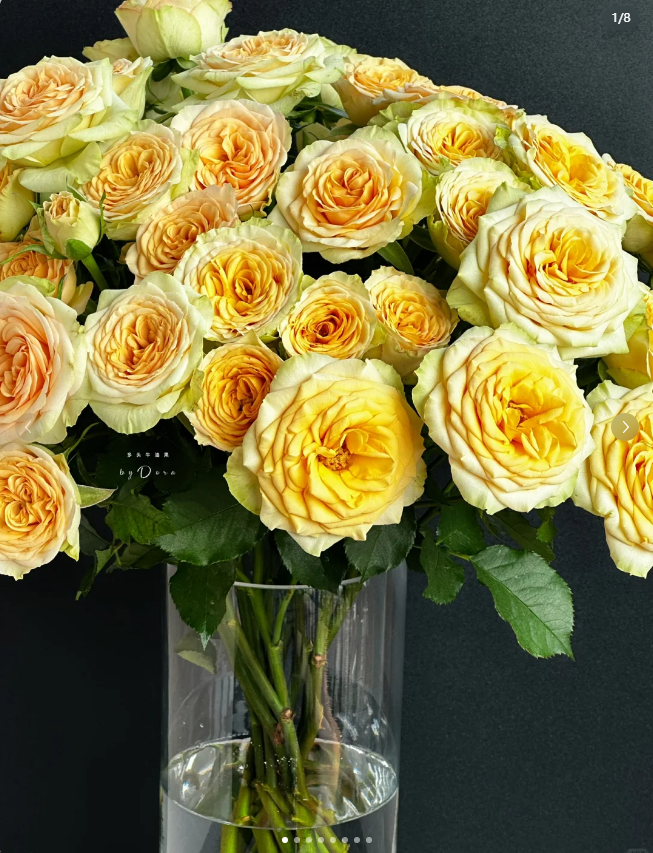 牛油果--稀有多头玫瑰--收到花第一时间醒花哟摆放艳丽插花