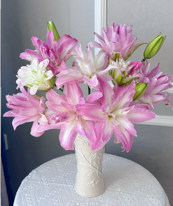 3头神秘幻境重瓣百合（实物以直播间为准）