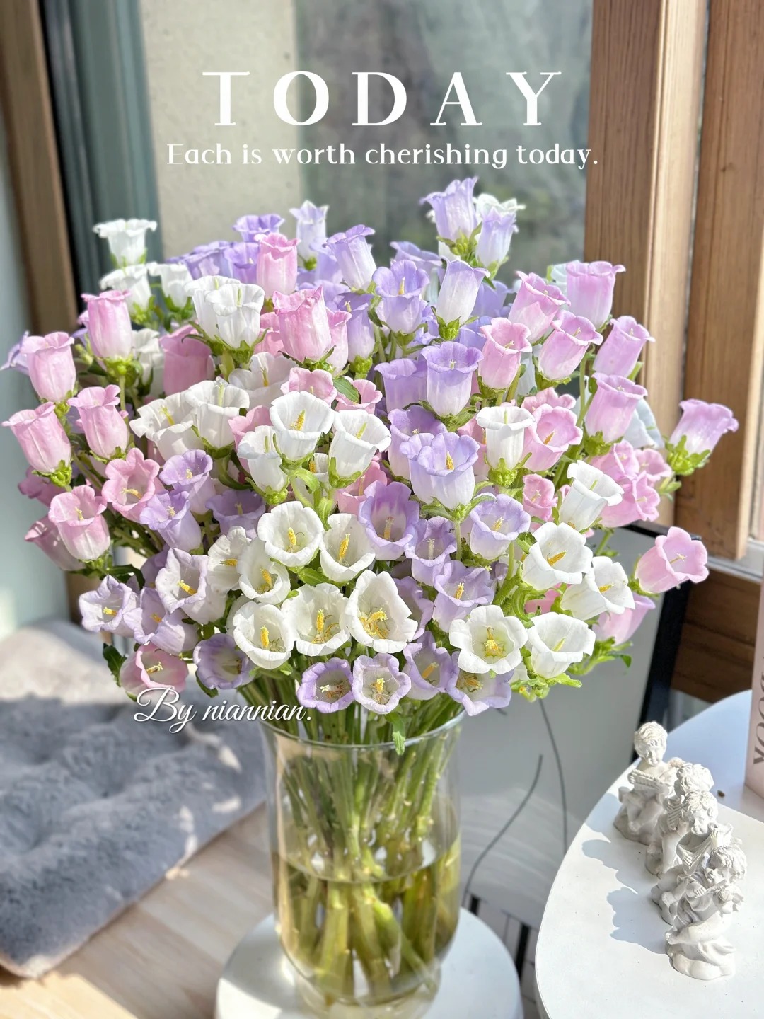 粉色+白色风铃花---我在等风 也在等你