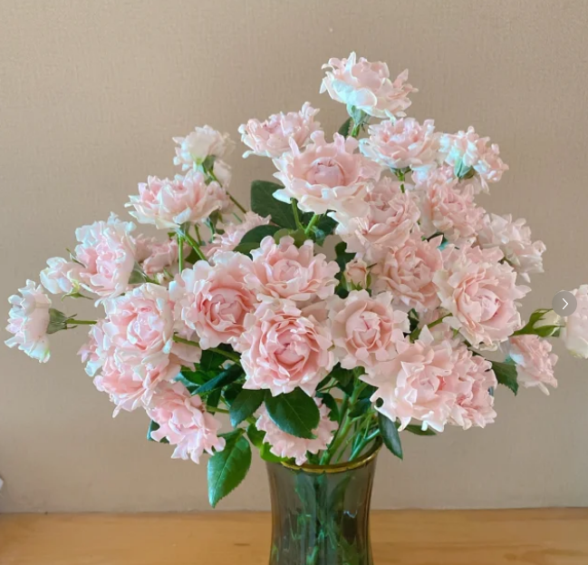 苏芬多头玫瑰----收到花第一时间醒花 (实物以直播间为准)