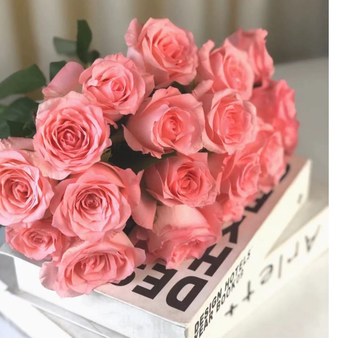 戴安娜20支-单头玫瑰--通透干净