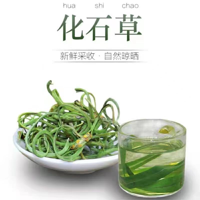 正品长白山黄金草冲泡叶菜嗷嗷叫草猫须草新货泡水泡茶黄金草茶