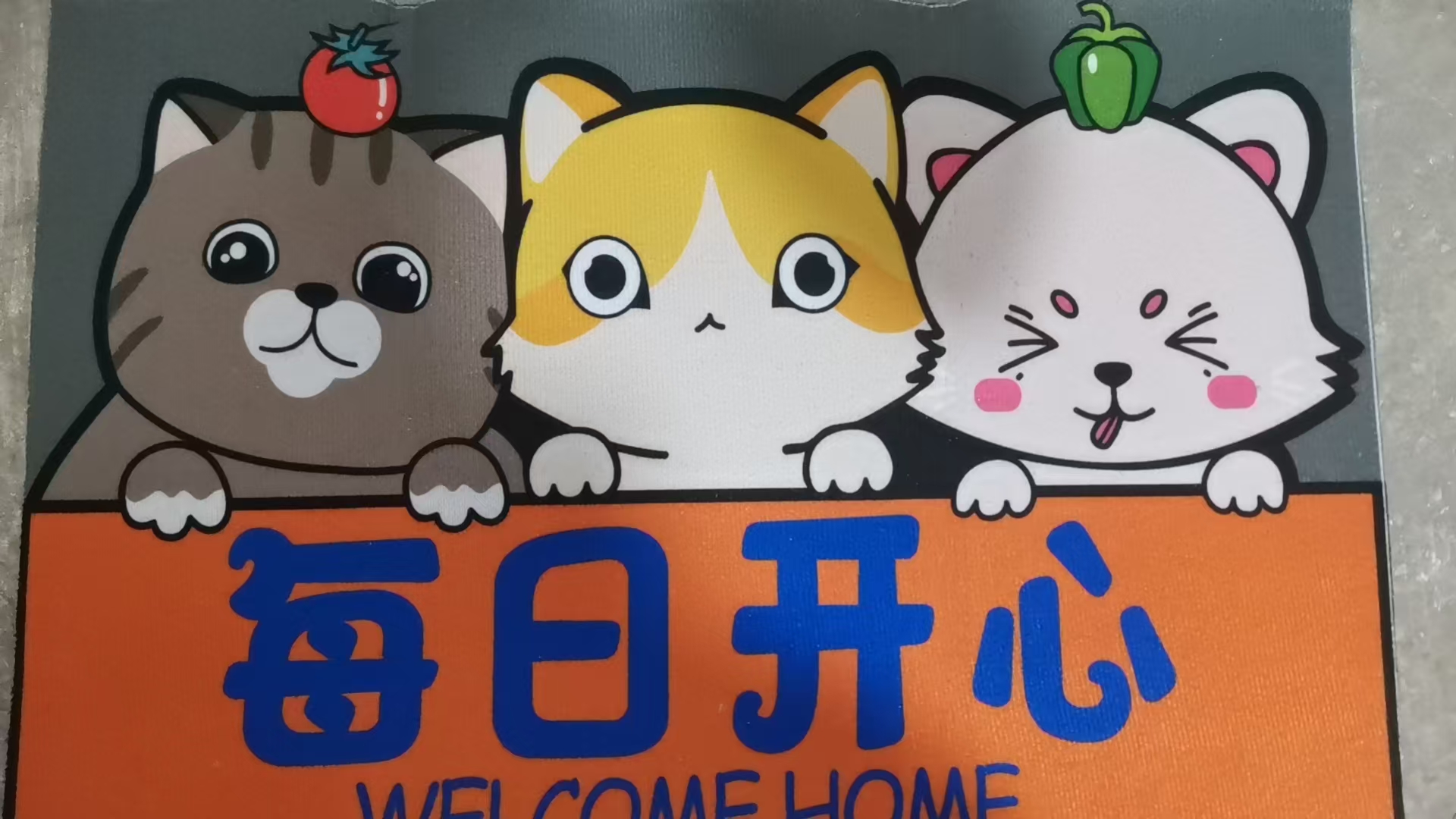 加厚牛奶绒枕头套