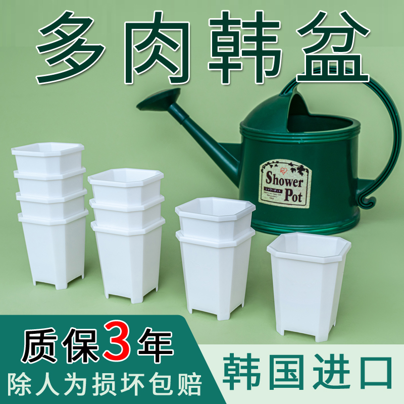 多肉花盆景天小方盆小号老桩韩式风铃玉番杏肉锥小白方盆塑料简约
