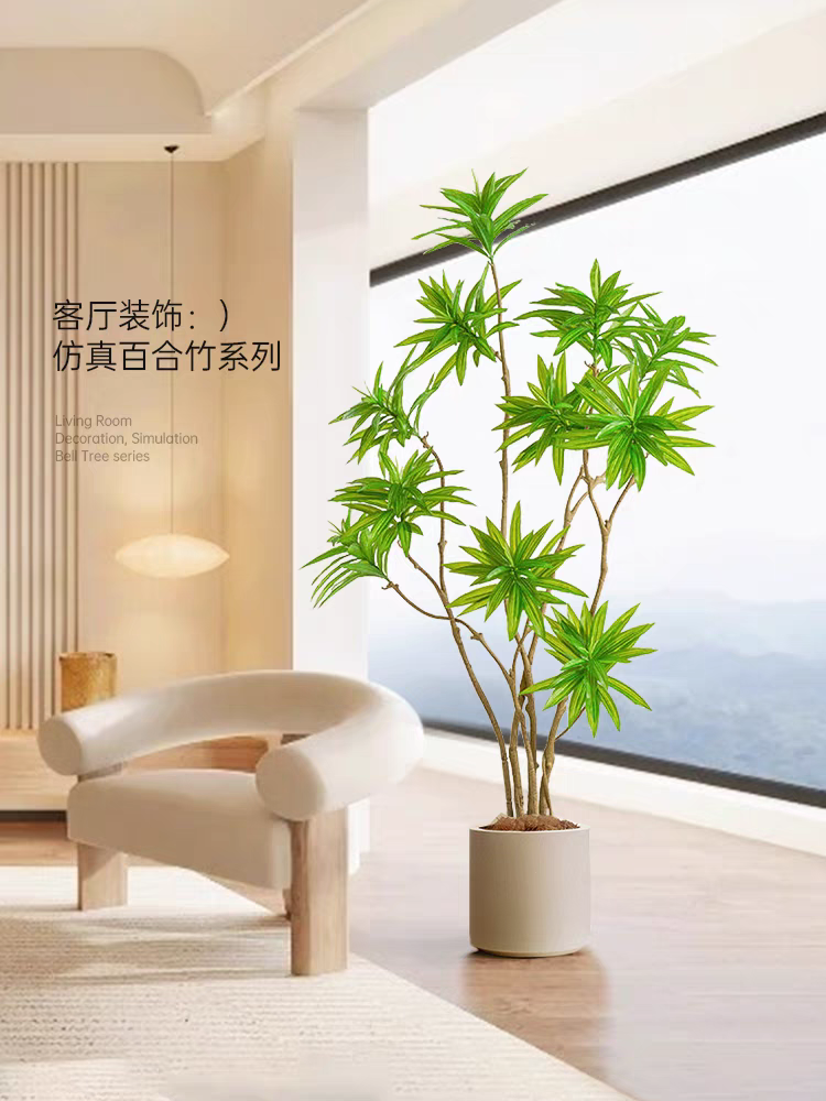 百合竹盆栽大老桩造型客厅真绿植落地好养真花室内吸甲醛大型植物