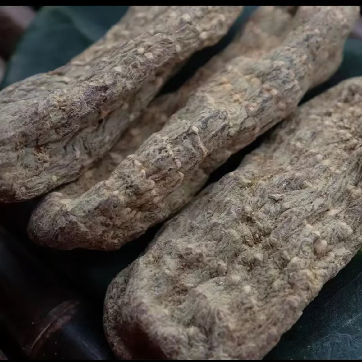 云南现收土山货——《烏兲罵》