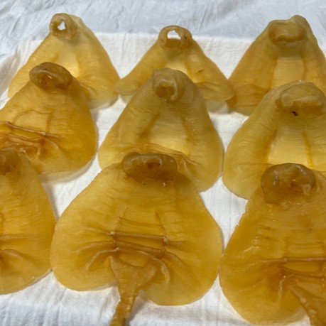 赤嘴公鱼胶散称重量1-500克