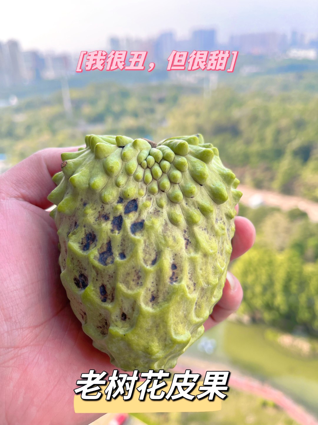 赠品（拍下同等级果品）3斤