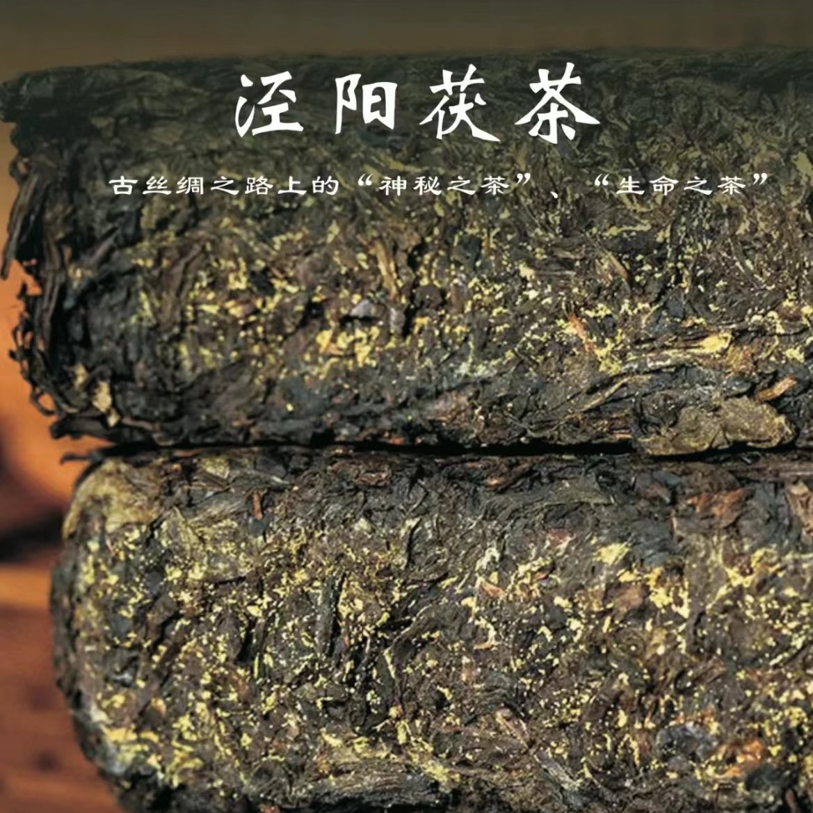 老品牌泾阳茯茶醇香陕西特产源文茗榀®️黑茶陕西正宗泾阳金花茯茶