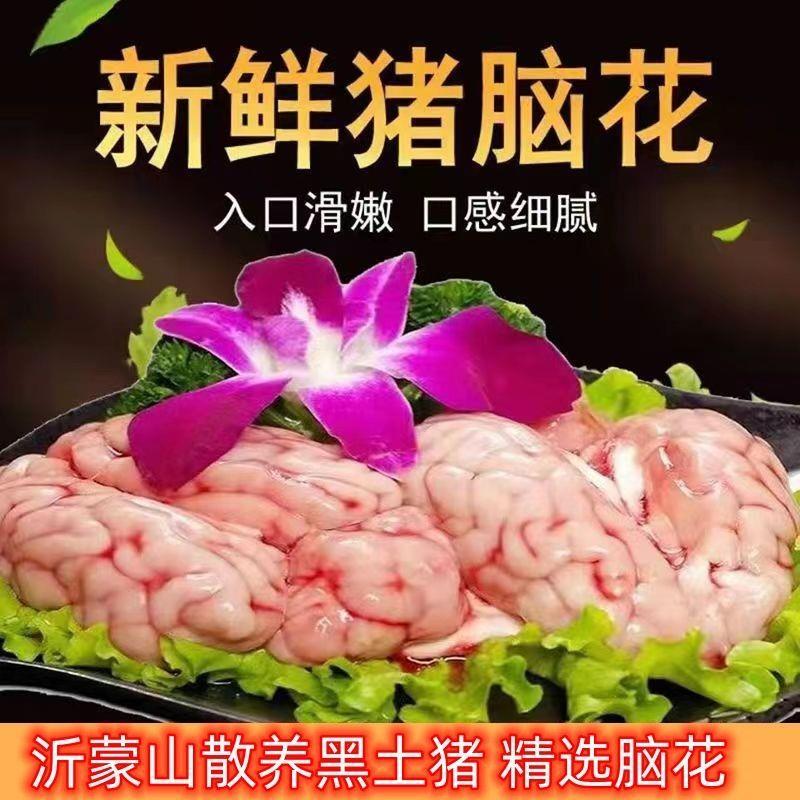 猪脑花批发冷冻新鲜猪脑花新鲜猪脑子左右脑脑髓火锅烧烤食材