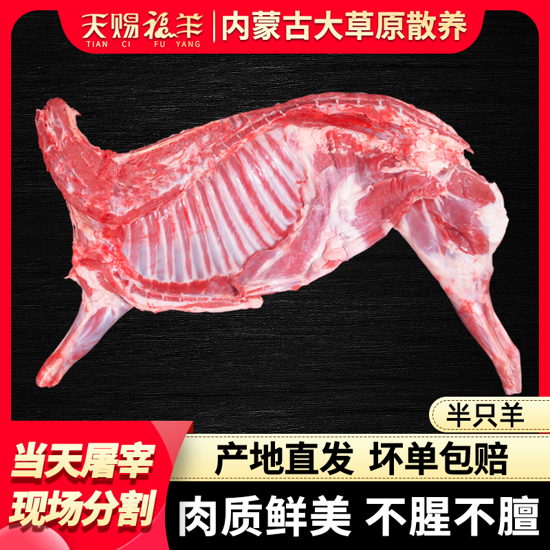 内蒙锡林郭勒草原散养羔羊 半羊12斤 全羊20斤 整扇100%腿排