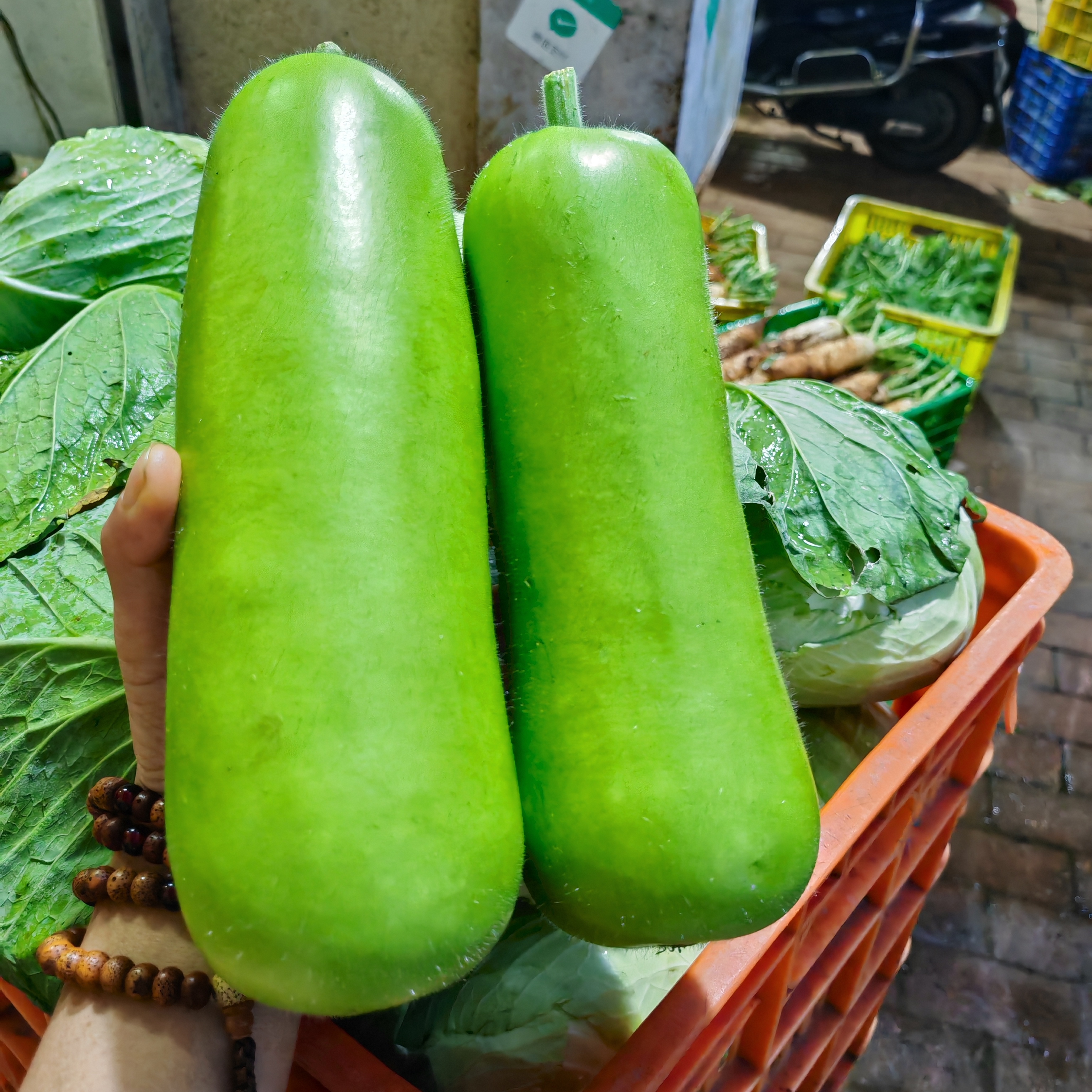 【长蒲瓜】3斤农家露天有机肥种植农家蔬菜