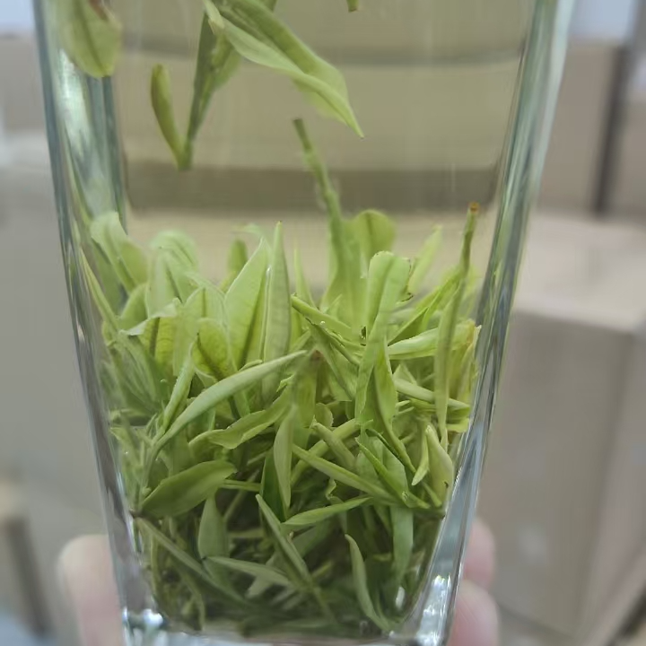 品三口茶行《2024明前头采嫩芽嫩叶特级白茶》125g礼盒装