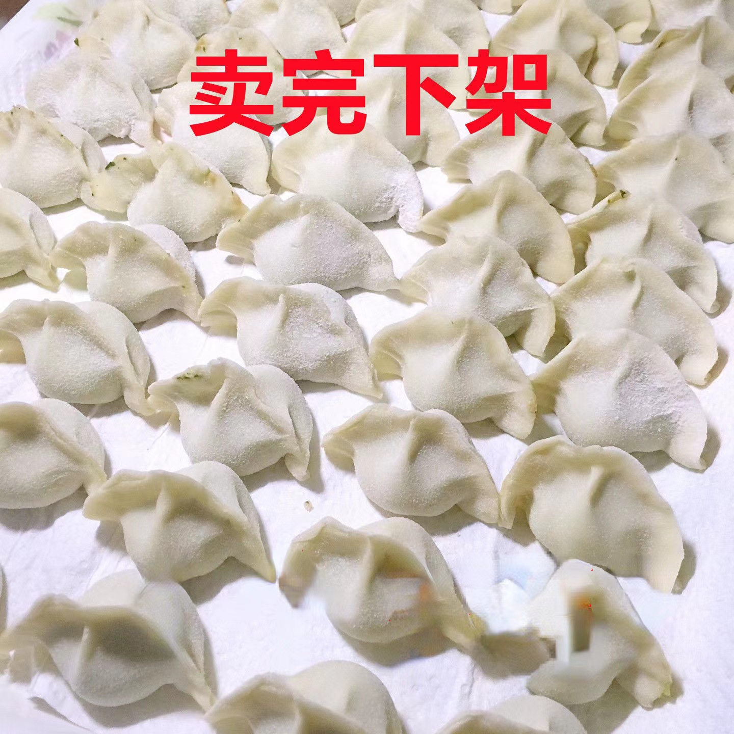 顺丰包邮冷链发货手工牛肉猪肉水饺家的味道新鲜家庭装速食早餐
