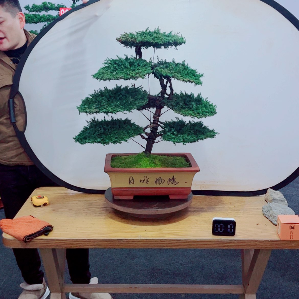 【闪购商品】盆景艺术
