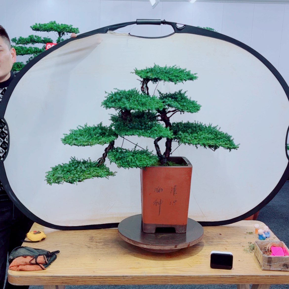 【闪购商品】盆景艺术
