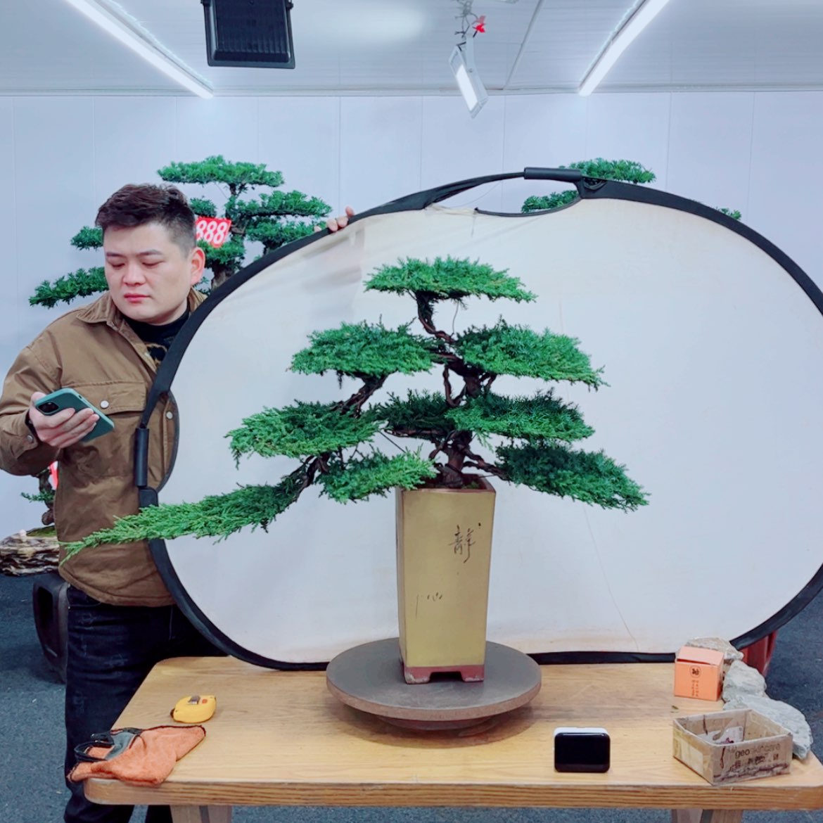 【闪购商品】盆景艺术