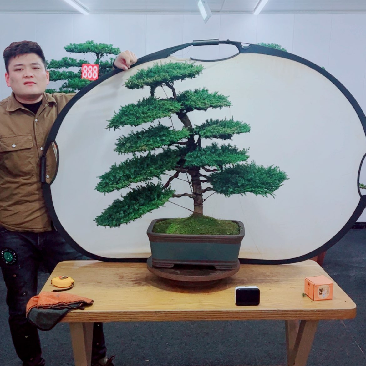 【闪购商品】盆景艺术