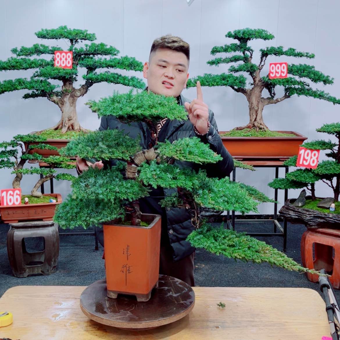 【闪购商品】盆景艺术