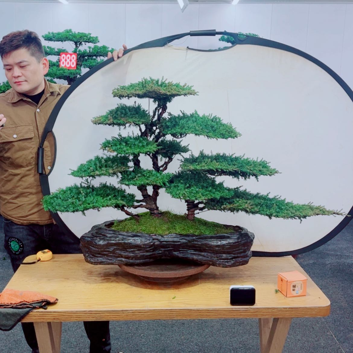 【闪购商品】盆景艺术