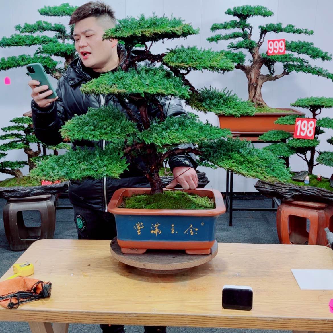 【闪购商品】盆景艺术