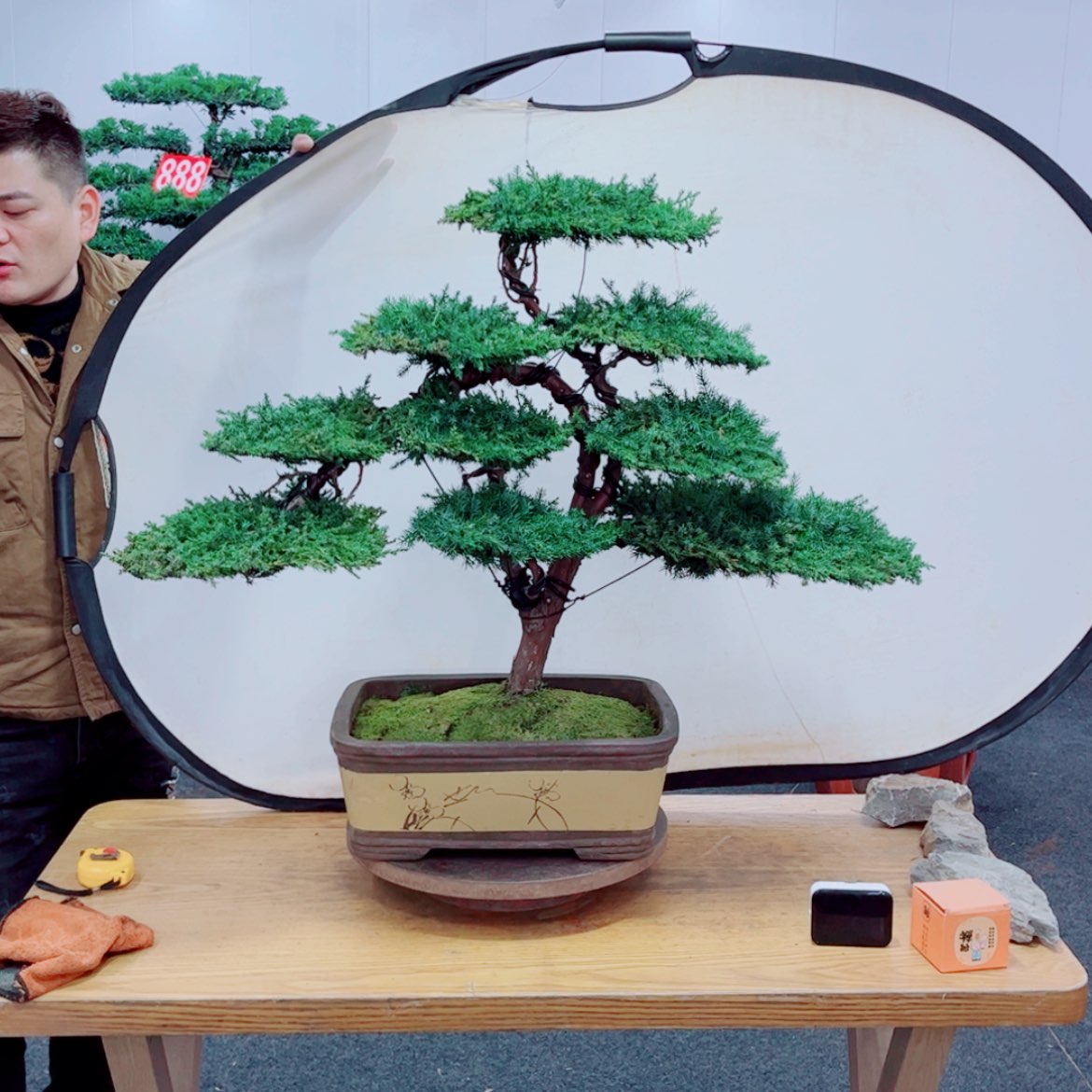 【闪购商品】盆景艺术